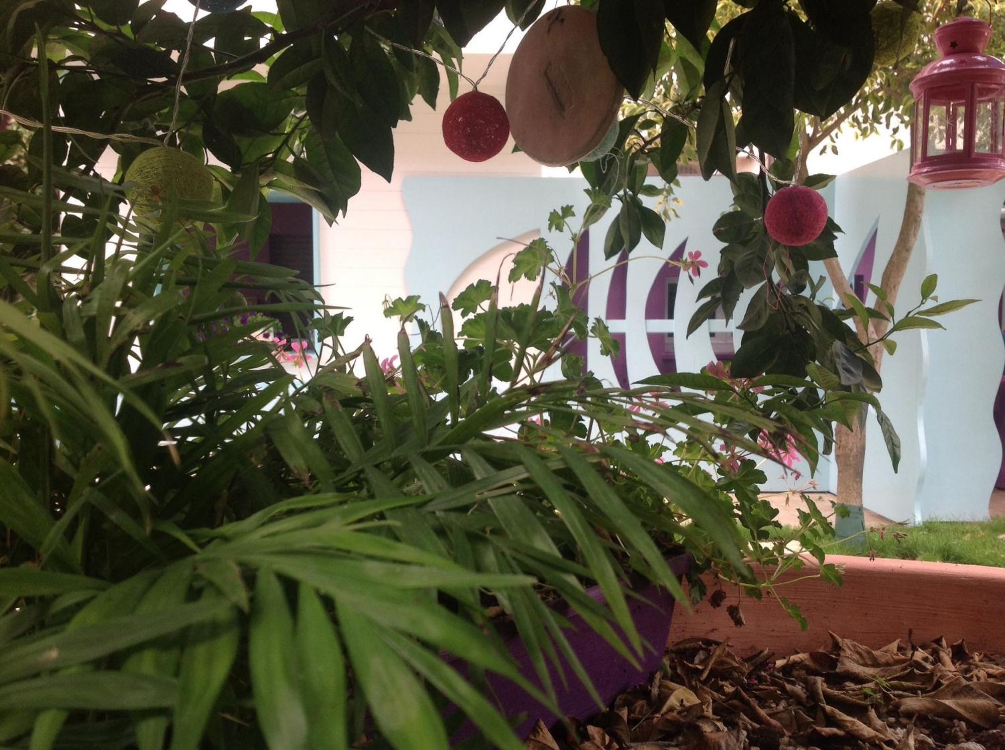 A Casa Di Lolu Bed & Breakfast Grottammare Luaran gambar