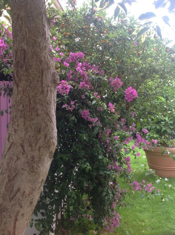 A Casa Di Lolu Bed & Breakfast Grottammare Luaran gambar
