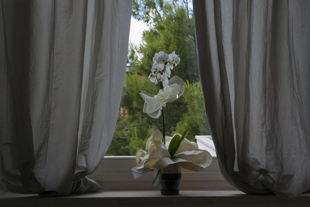 A Casa Di Lolu Bed & Breakfast Grottammare Luaran gambar